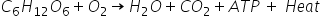 C subscript 6 H subscript 12 O subscript 6 plus O subscript 2 rightwards arrow H subscript 2 O plus C O subscript 2 plus A T P space plus space H e a t