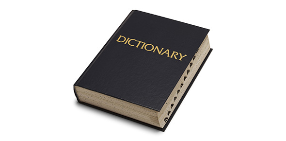 Dictionary Flashcards