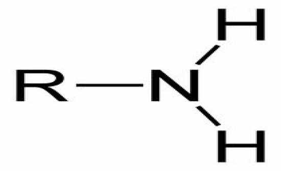 Question 6