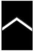 Identify Army JROTC Ranks by Badges Flashcards - Flashcards