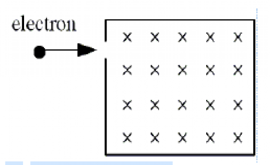 Choose The Correct Option For These Magnetic Forces And Fields Quiz - Quiz