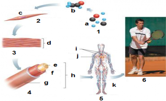 Question 5