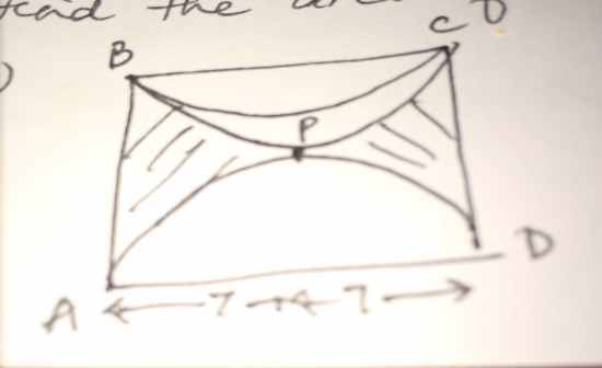 Question 5
