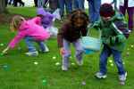 Egg Hunt - Flashcard