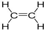 C And H, At Least 1 Double Bond - Flashcard