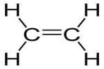 C And H, At Least 1 Double Bond - Flashcard