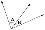 Adjacent Angles - Flashcard