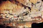 Hall Of The Bulls In The Cave At Lascaux, Fra... - Flashcard
