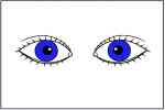  - Flashcard
