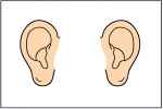  - Flashcard
