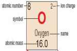 Using The Periodic Table Identify:

	
		Nu... - Flashcard