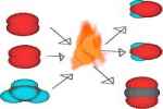 Chemical Energy - Flashcard