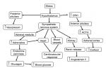 Draw A Flow Diagram Of The Bodys Respose To S... - Flashcard