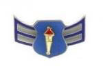  Cadet Airman First Class (C/A1C)

	&nbs... - Flashcard
