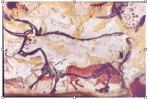 3. Hall Of The Bulls (left Wall), Lascaux, Fr... - Flashcard