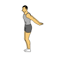 Chest Stretch - Flashcard