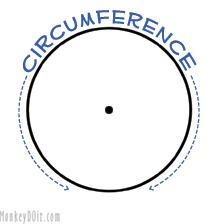 Circumference - Flashcard