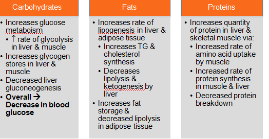 INSULIN - Flashcard