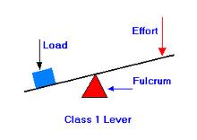 What Is A First Class Lever? - Flashcard