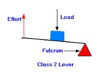 What Is A Second Class Lever? - Flashcard