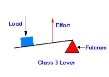 What Is A Third Class Lever? - Flashcard