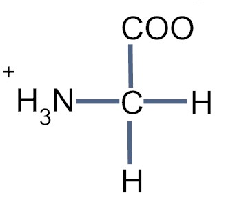 Glycine - Flashcard