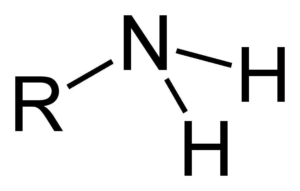 What Is An Amine Group? - Flashcard