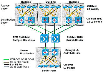 BACKBONE - Flashcard