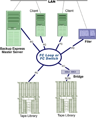 BACKUP - Flashcard