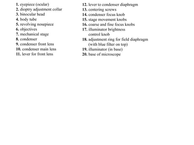 Answer 4