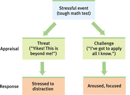 What Is Stress?  What Are The Facto... - Flashcard