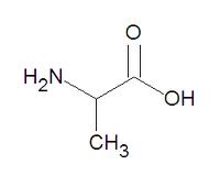 Alanine - Flashcard