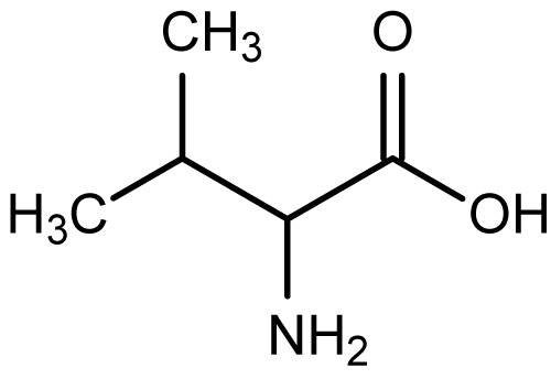 Valine - Flashcard