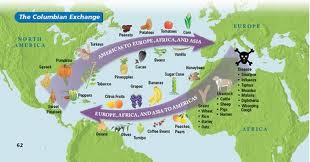 What Was The Columbian Exchange? - Flashcard