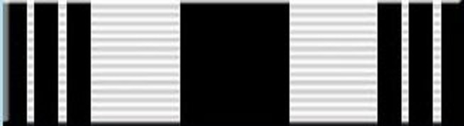 AFJROTC Common Ribbons - Flashcards