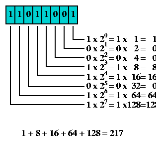 What Are Bits? - Flashcard