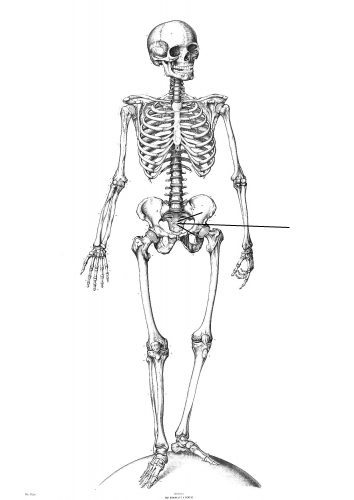 Question 9