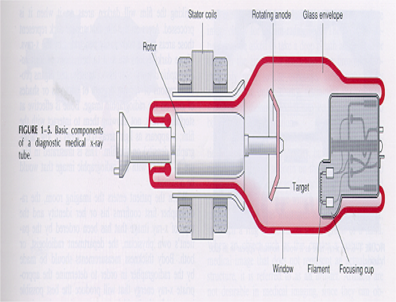 Question 8