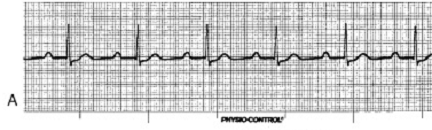 Question 6