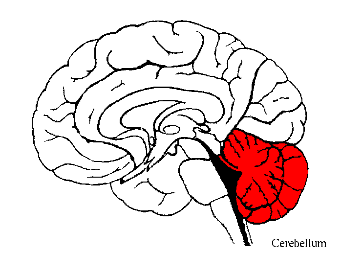 Question 6