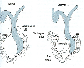 Question 6