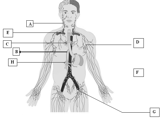 Lab Week 8 - Quiz