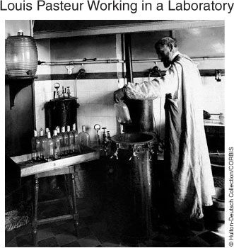 The Work Of Louis Pasteur, Shown Above, Helpe... - Flashcard