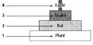 Question 9