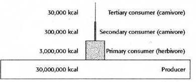 Question 10