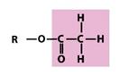What Is The Name Of This Functional Group? - Flashcard