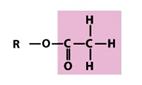 Biochemistry Functional Groups Flashcards - Flashcards