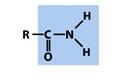 What Is The Name Of This Functional Group? - Flashcard