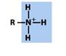 What Is The Name Of This Functional Group? - Flashcard