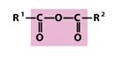 What Is The Name Of This Functional Group? - Flashcard